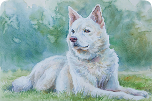 #