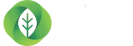 эко архитектура